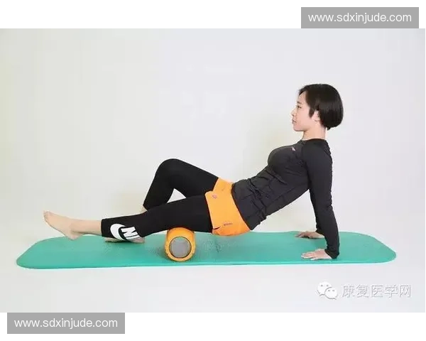 深度筋膜放松全方位舒展身体活力的系统化康复训练实践指南手册精要 深度筋膜放松全方位舒展身体活力的系统化康复训练实践指南手册精要