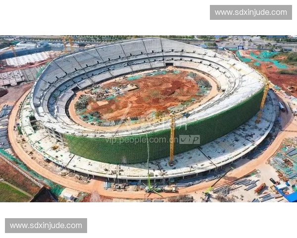 聚焦体育保险产品创新服务助力全民运动风险保障升级持续发展蓝图