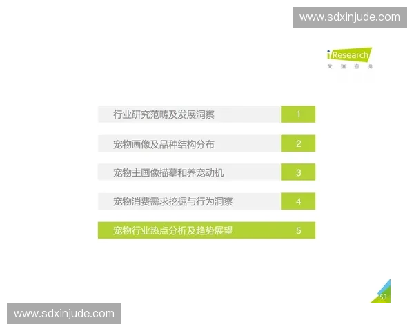 国际排联引领全球排球运动发展与赛事创新趋势解析 国际排联引领全球排球运动发展与赛事创新趋势解析