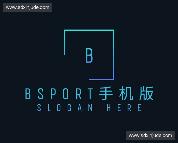 了解Bsport手机版